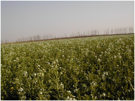 欧博abg - 官方网站登录入口