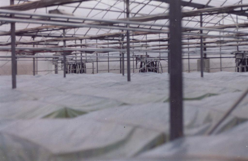 欧博abg - 官方网站登录入口