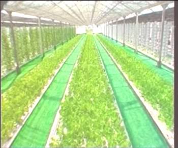 欧博abg - 官方网站登录入口