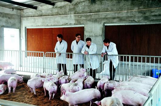 欧博abg - 官方网站登录入口