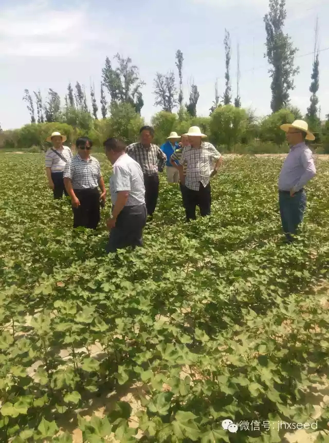 欧博abg - 官方网站登录入口