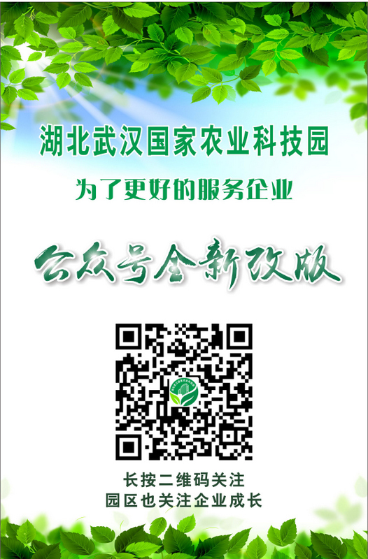 欧博abg - 官方网站登录入口