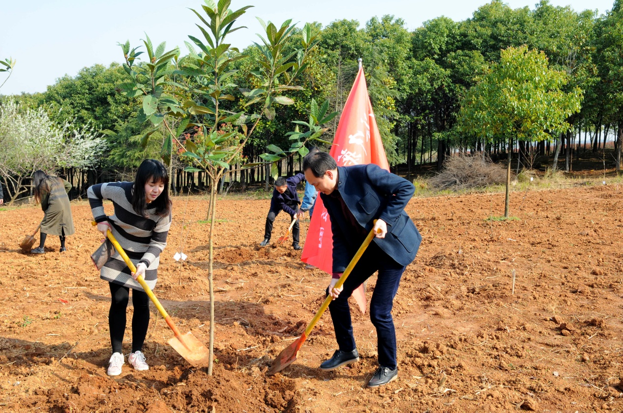欧博abg - 官方网站登录入口