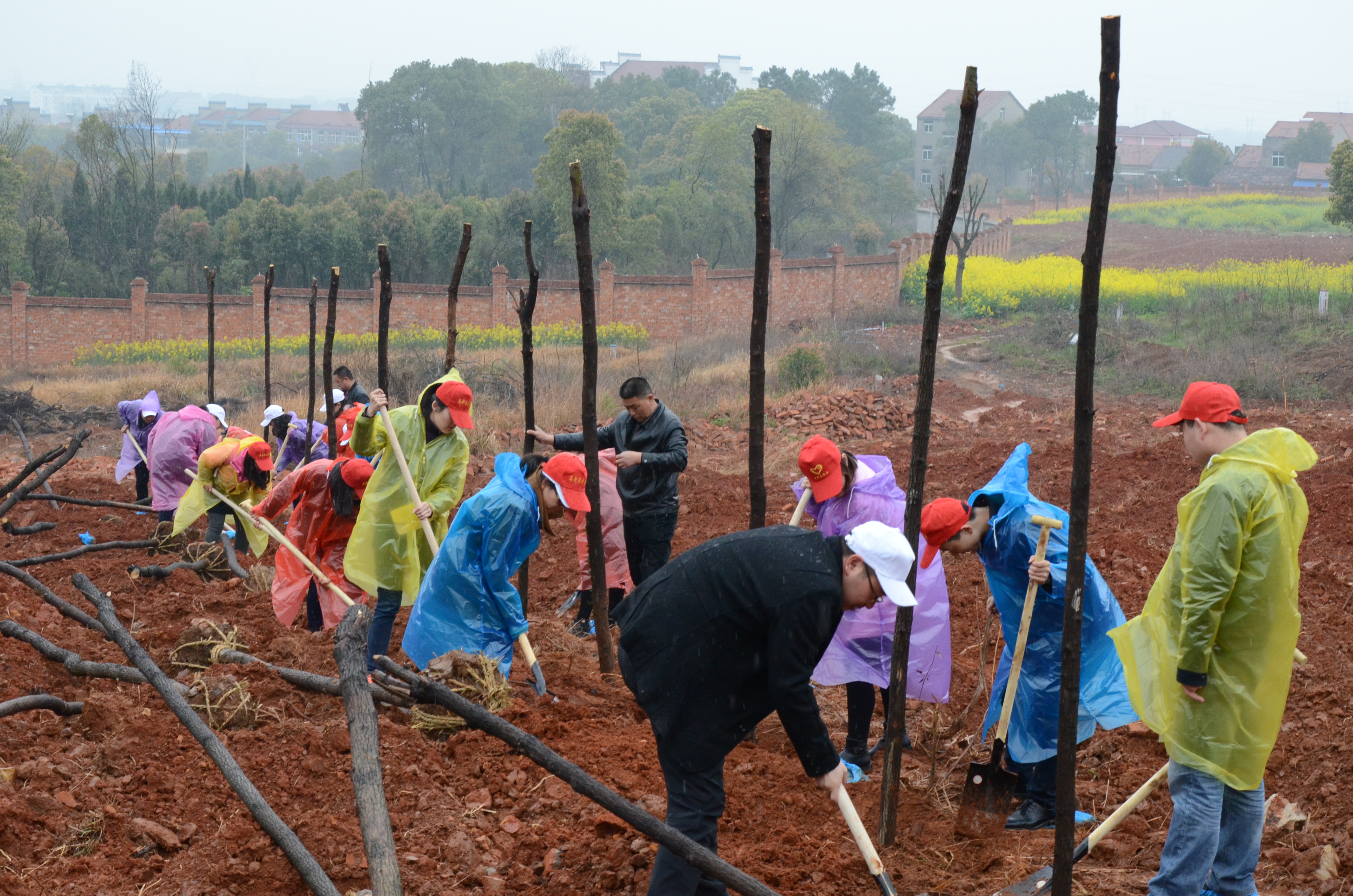 欧博abg - 官方网站登录入口