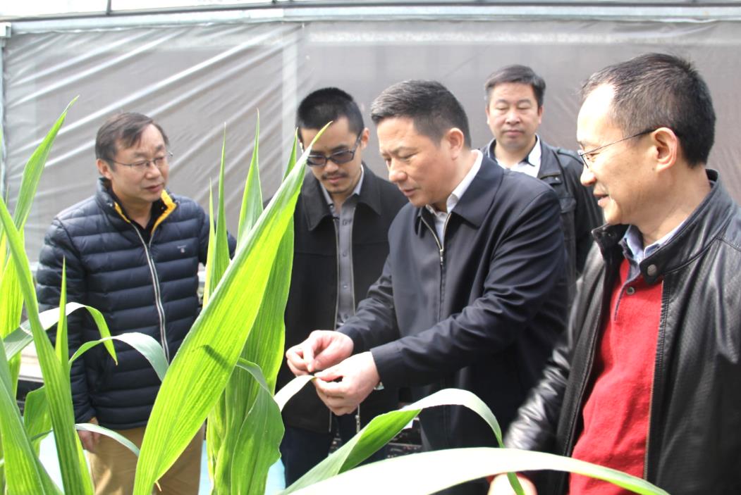 欧博abg - 官方网站登录入口