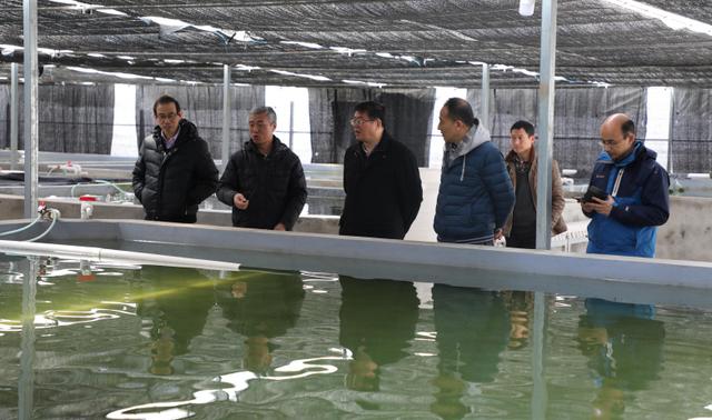 欧博abg - 官方网站登录入口