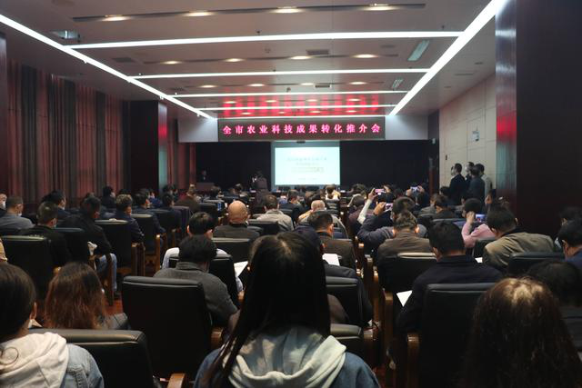 欧博abg - 官方网站登录入口